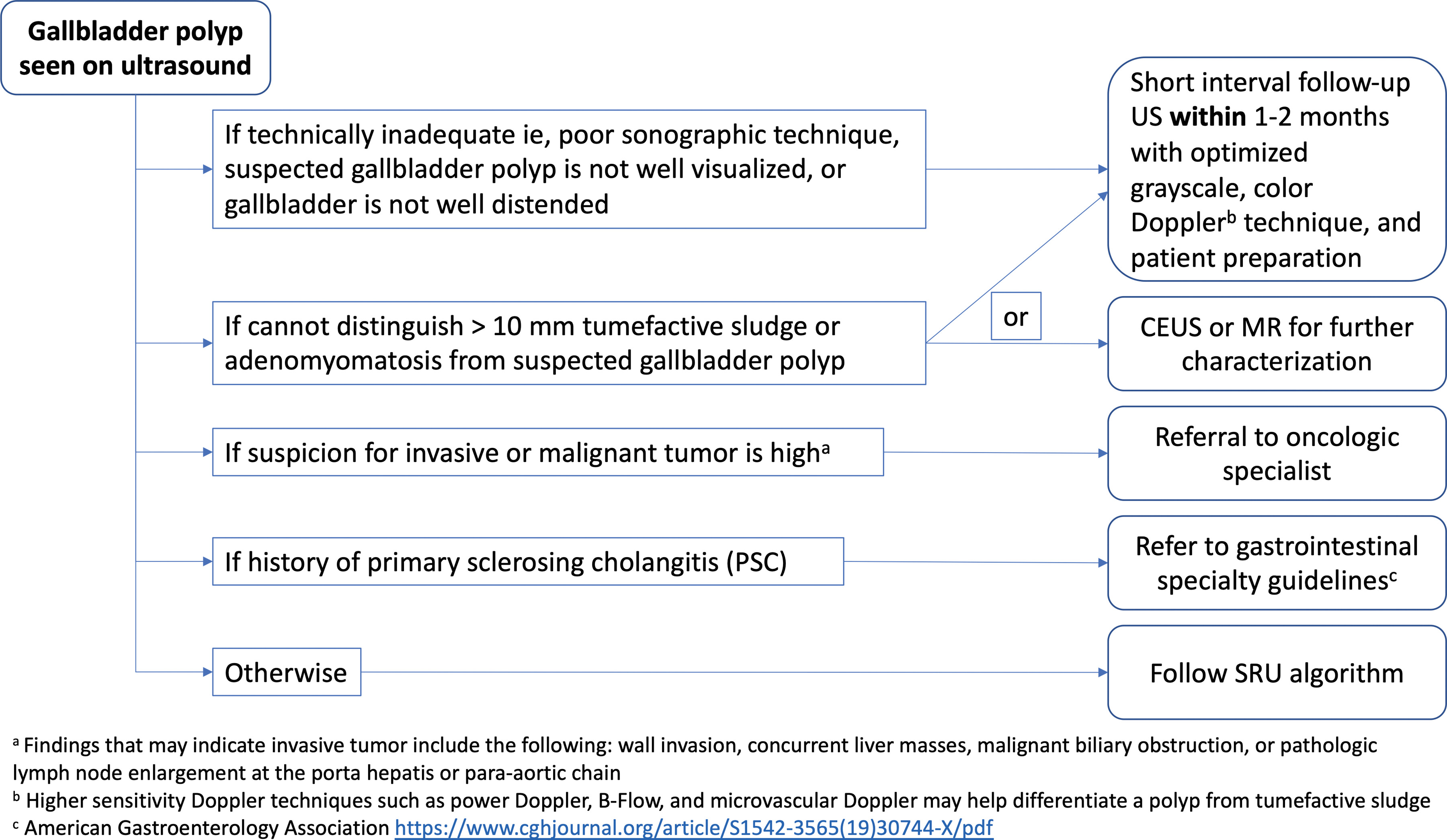 Gallbladder polyp ultrasound evaluation algorithm