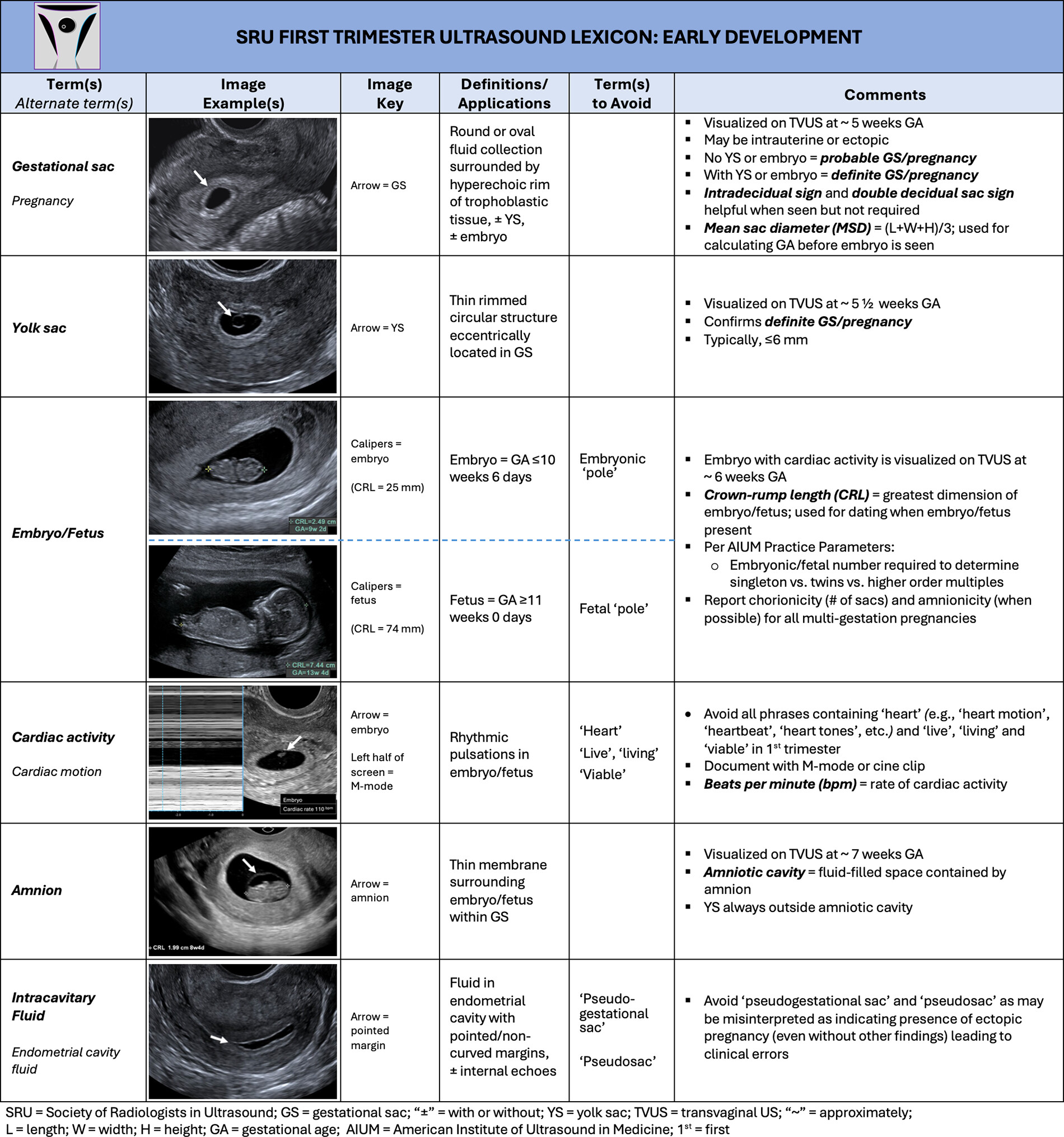 First Trimester US Lexicon Early Development