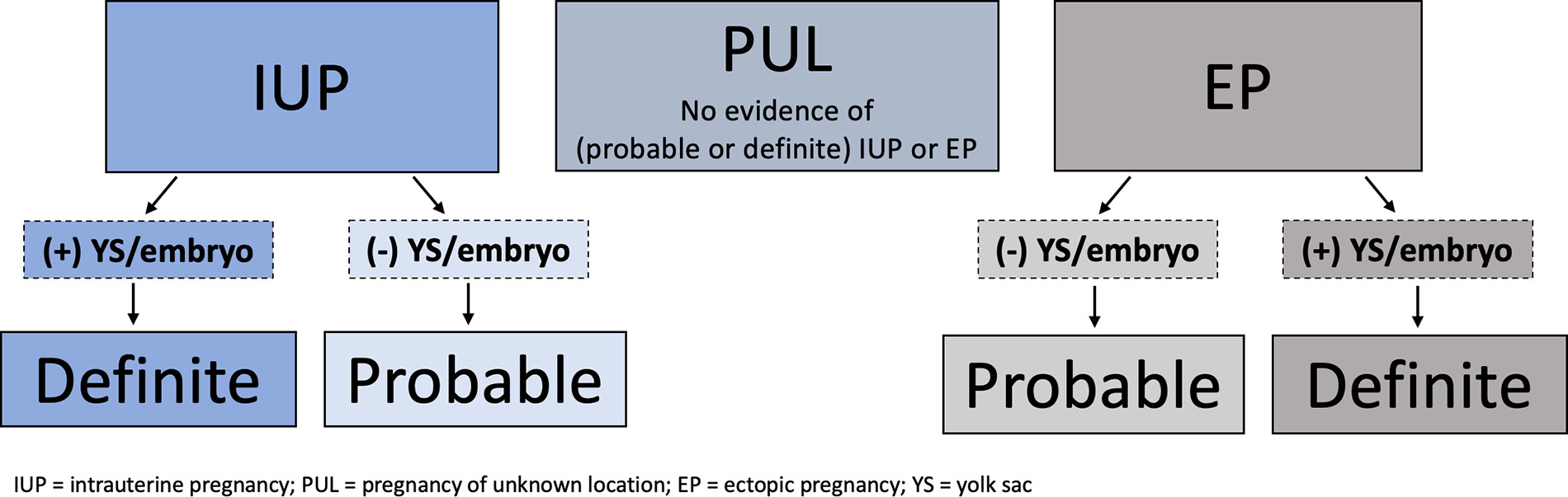 First Trimester US Lexicon Flowchart